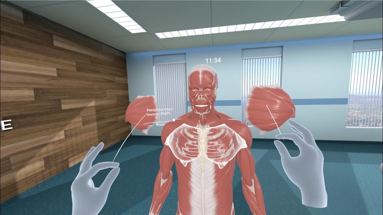 Human Anatomy VR With Unreal Engine