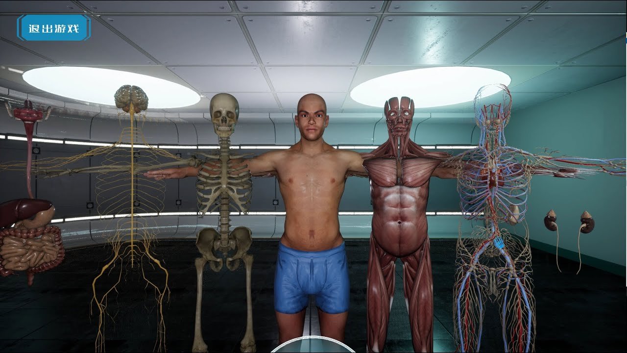 3D visualization of medical Human anatomy for Unreal Engine
